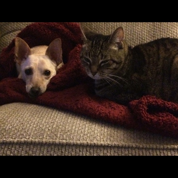 Meet your Posher, Rebecca - Picture 4 of 6